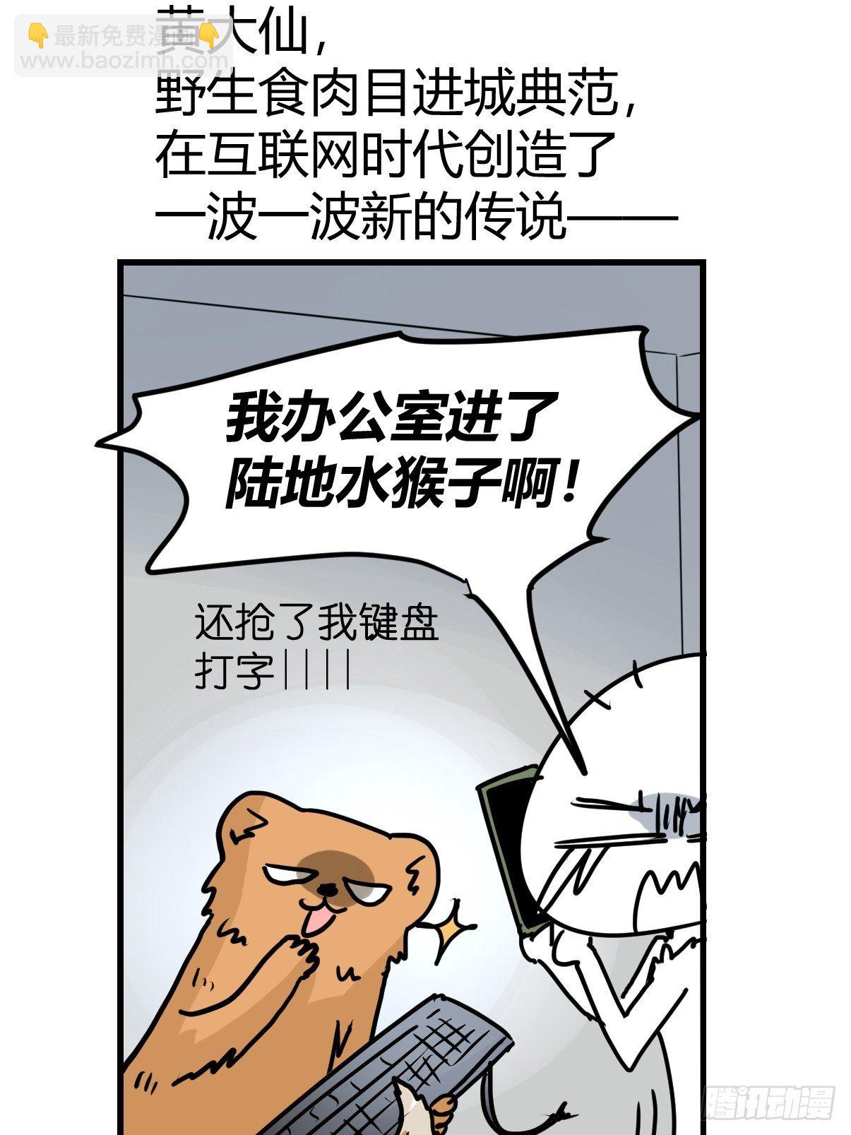 四海篇27：山中无老虎&middot;上-第259话