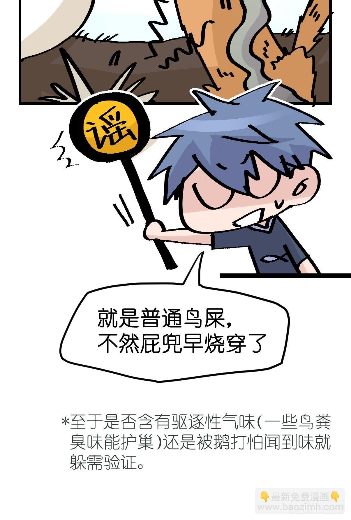 四海篇27：山中无老虎&middot;上-第259话