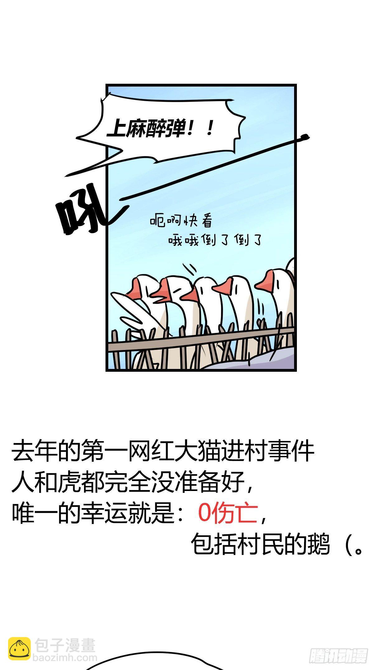 虎年特别篇：王者归来01(1/2)-第261话