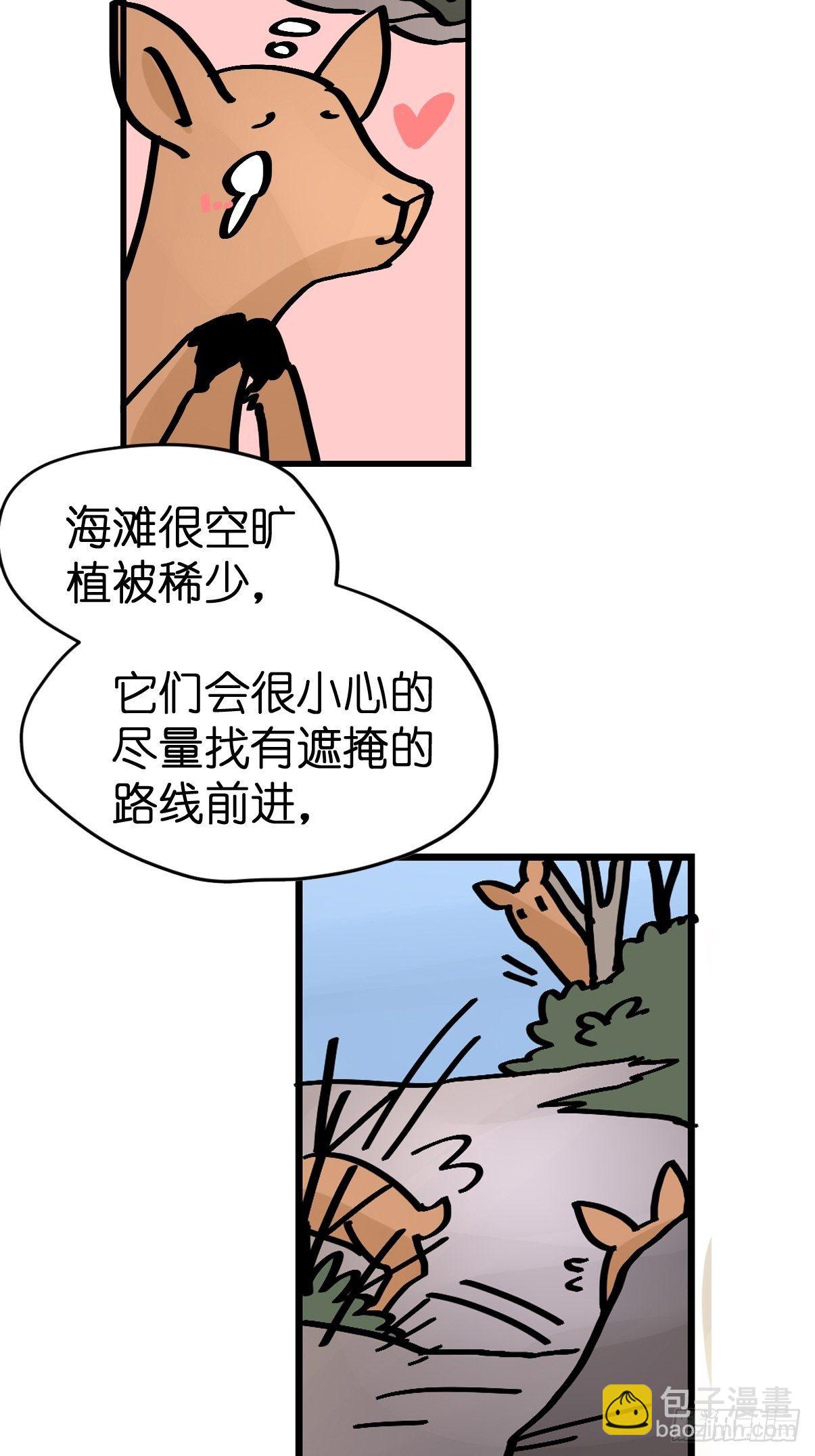 虎年特别篇：王者归来03-第263话