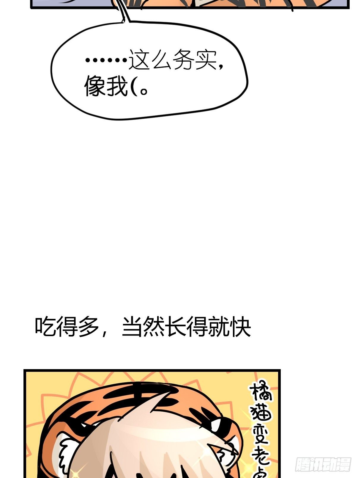 虎年特别篇：王者归来03-第263话
