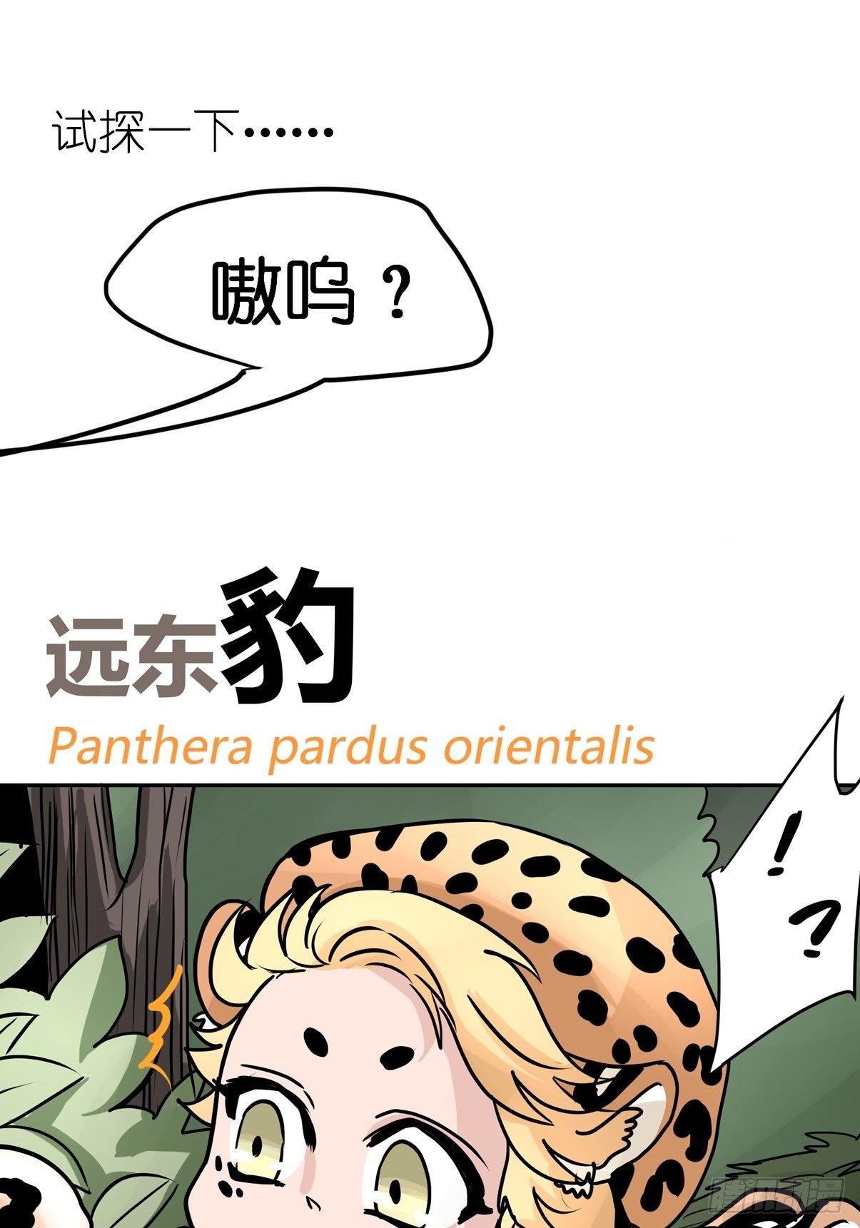 虎年特别篇：王者归来05-第265话
