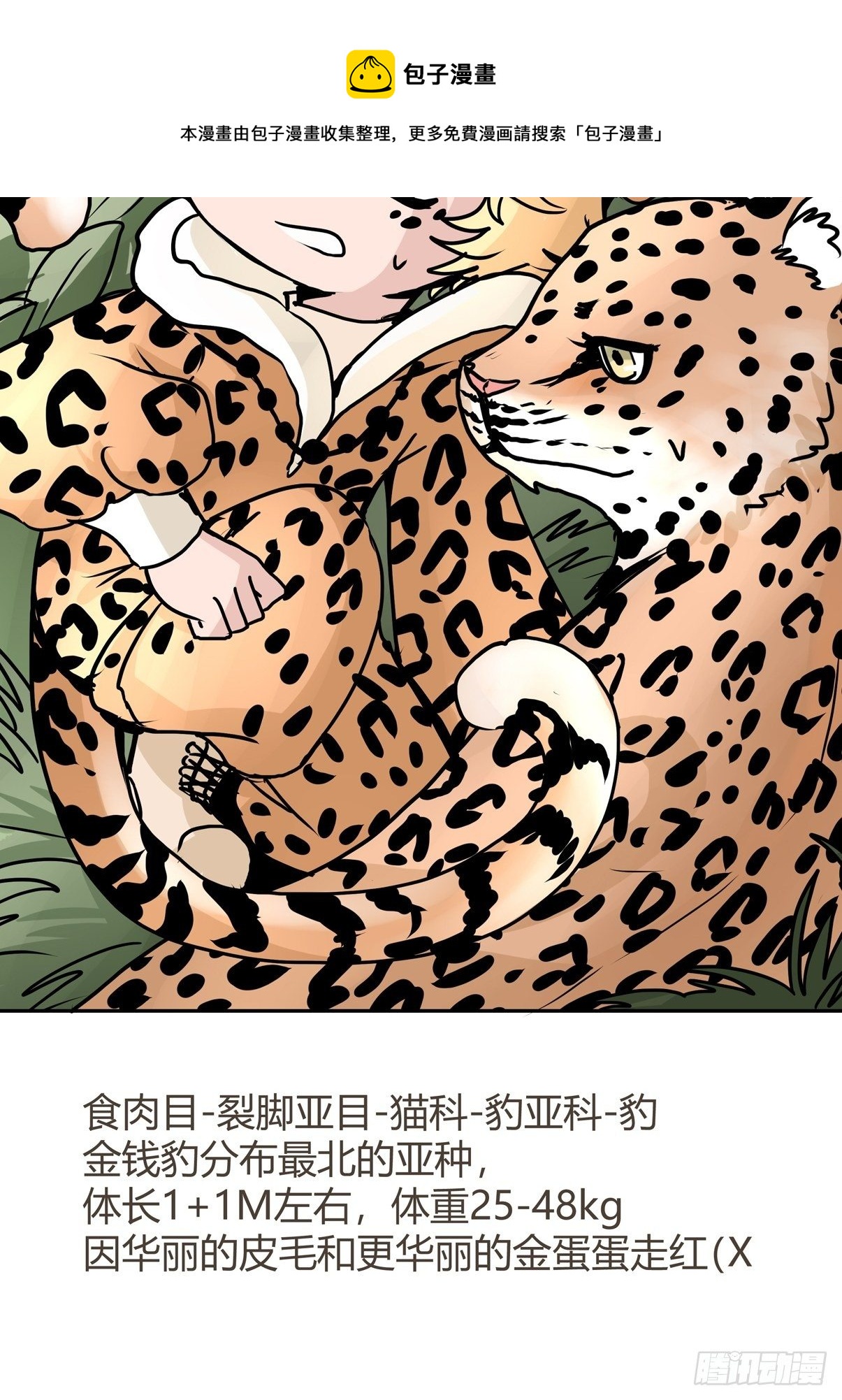 虎年特别篇：王者归来05-第265话