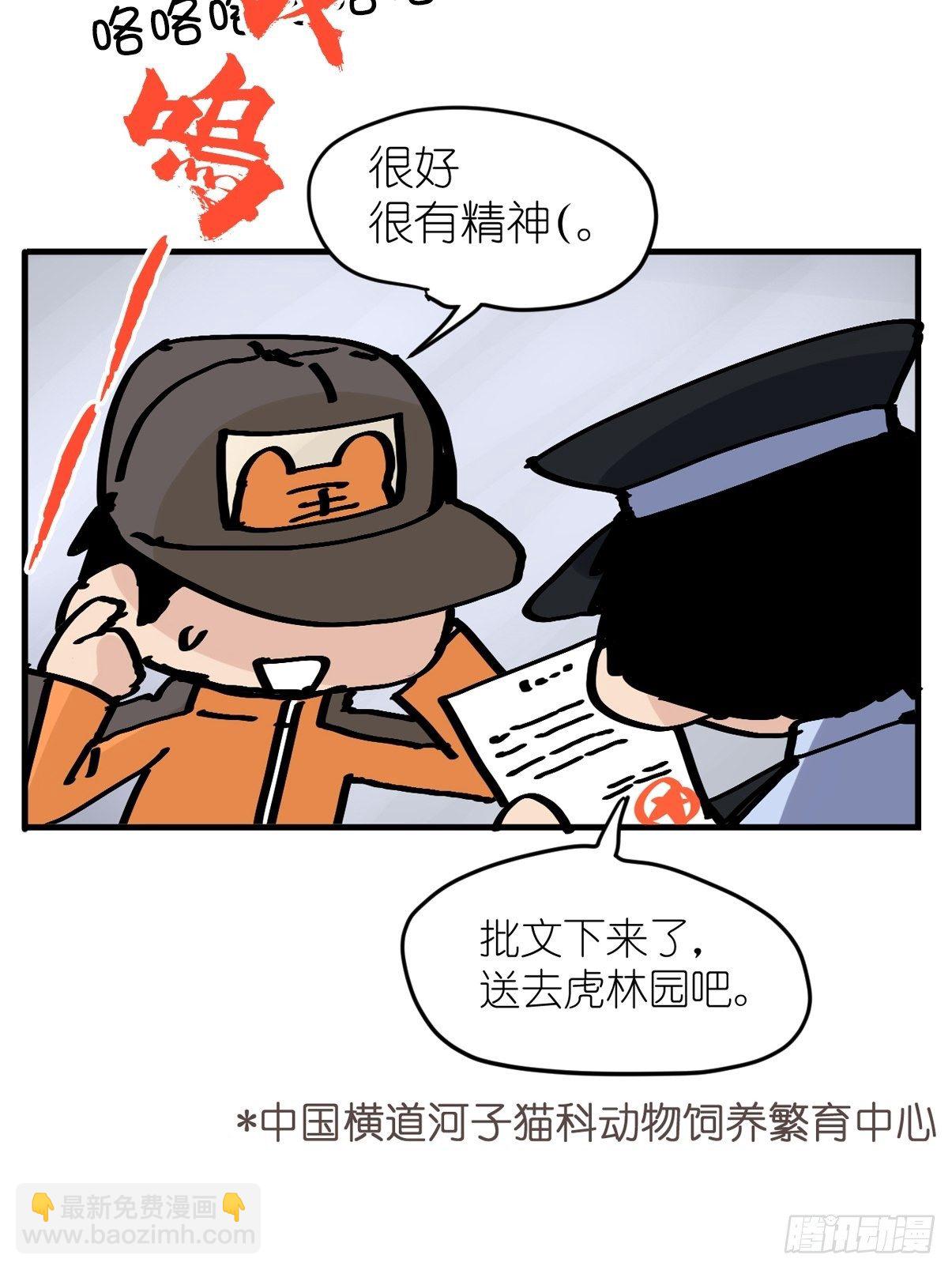 虎年特别篇：王者归来07(1/2)-第267话