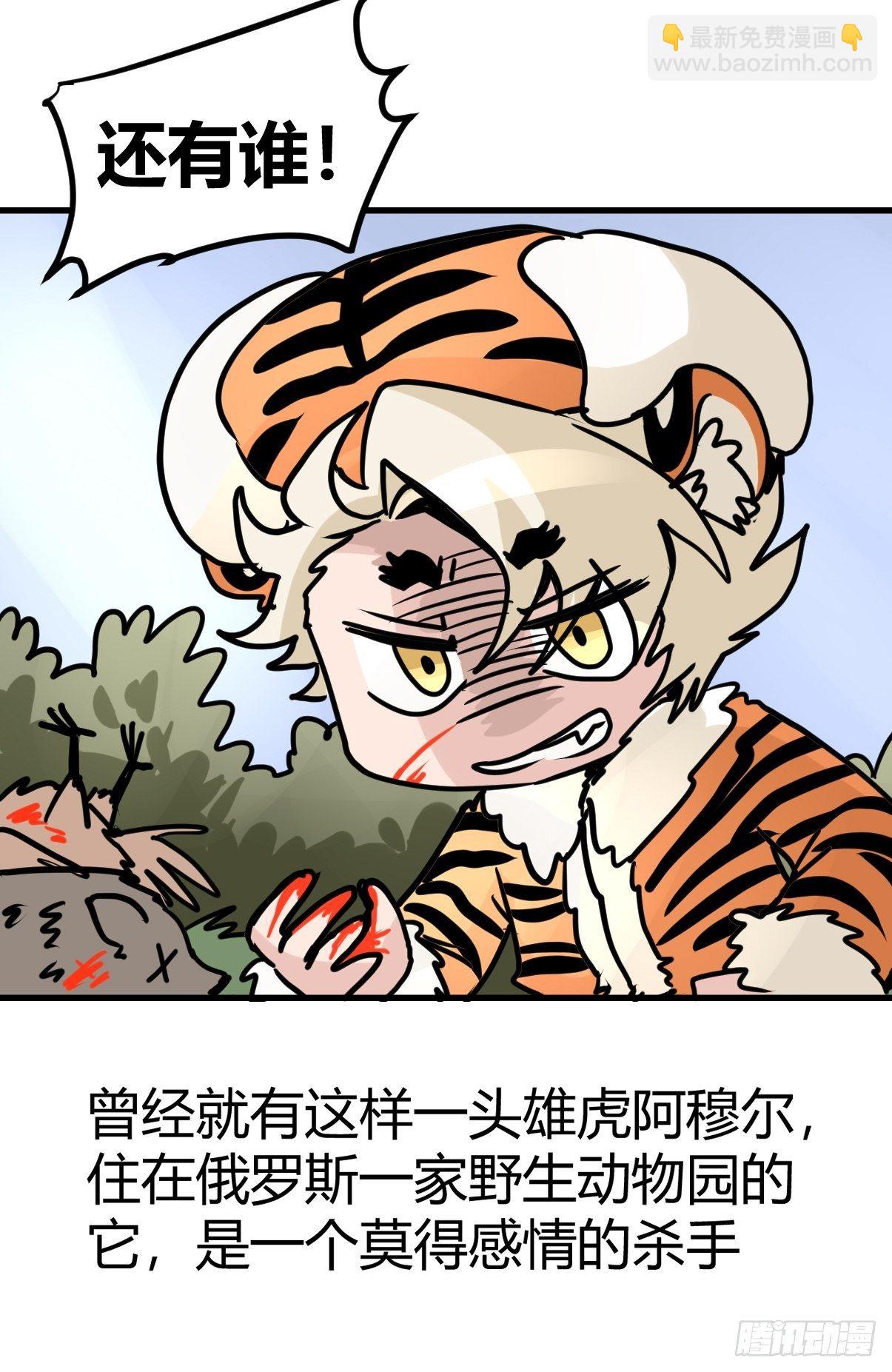 虎年特别篇：王者归来07(1/2)-第267话