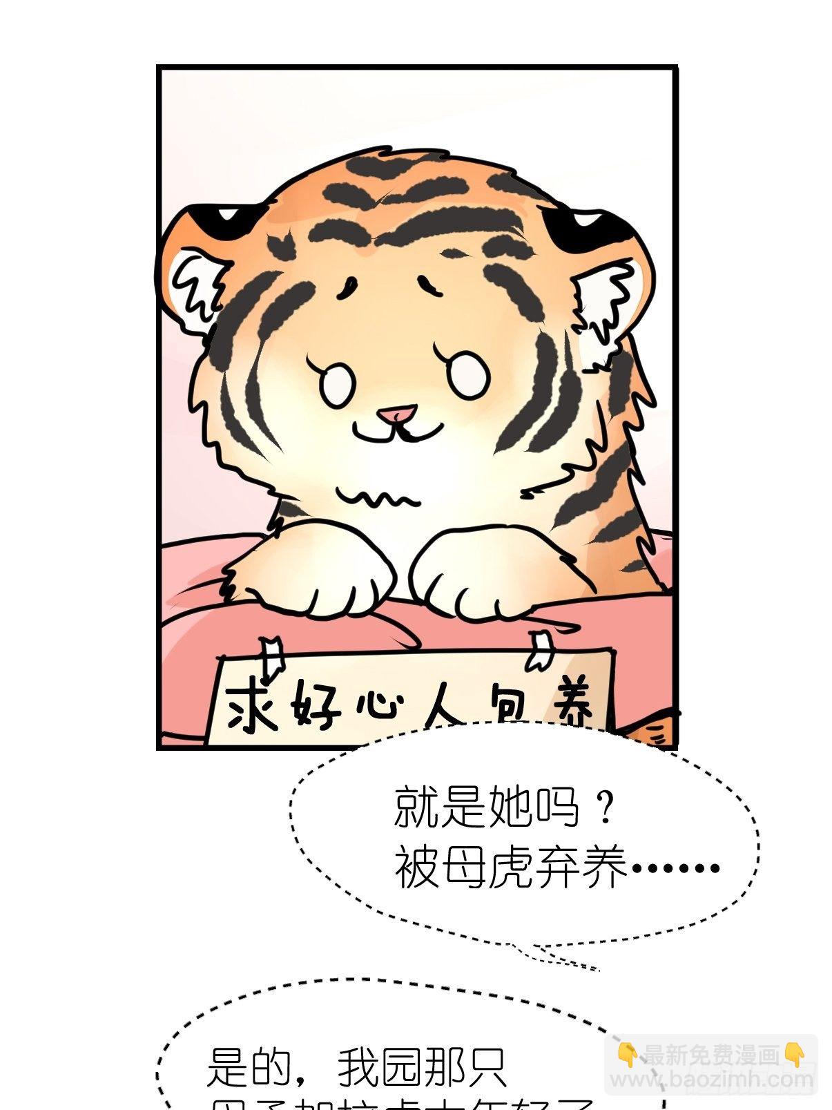 虎年特别篇：王者归来09-第269话