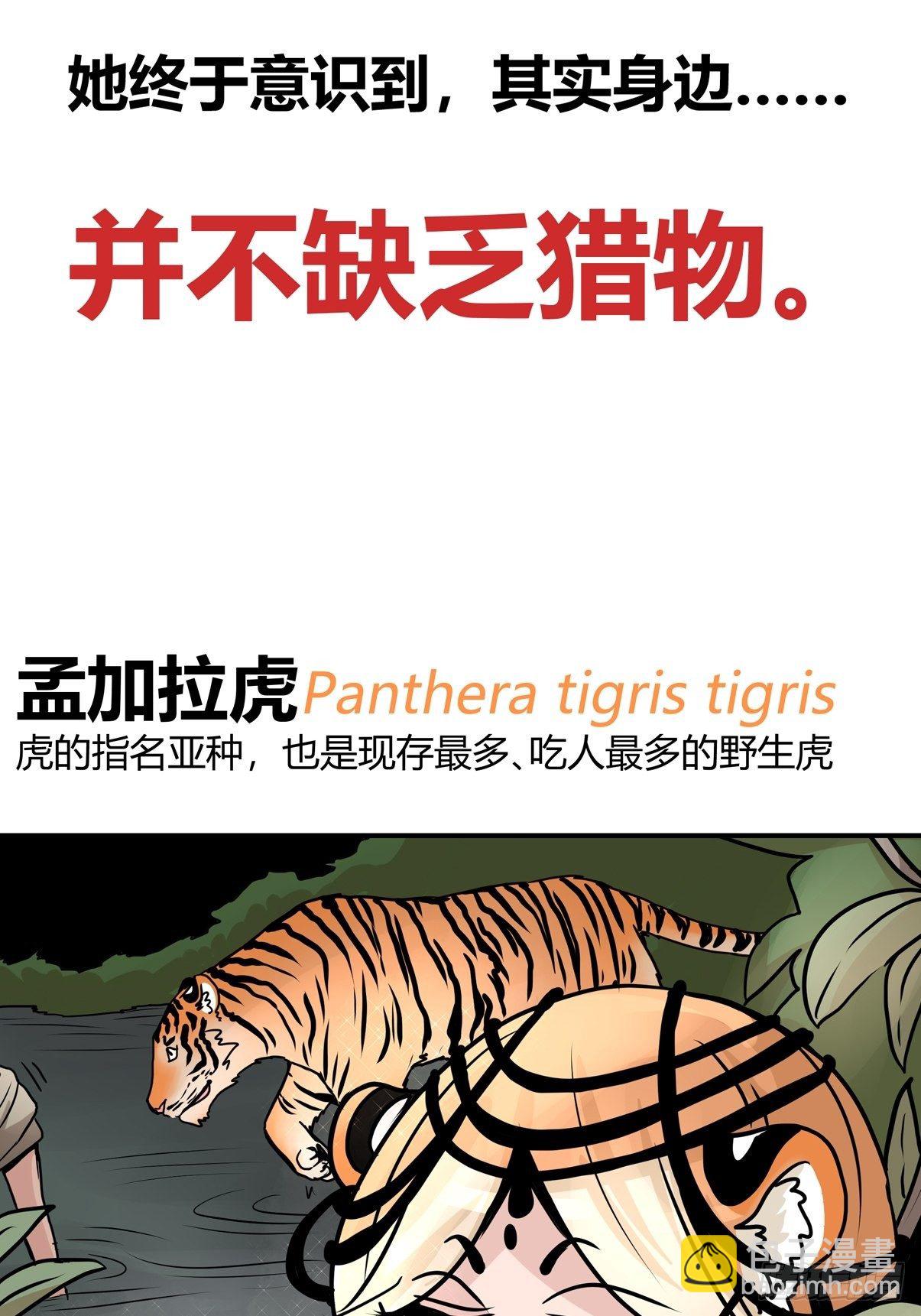 虎年特别篇：王者归来09-第269话