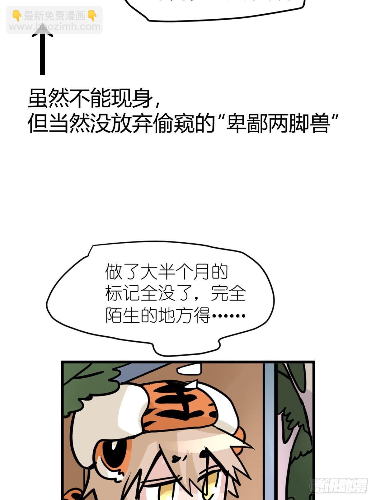 四海篇29：远虎治不了近鼠？-第271话