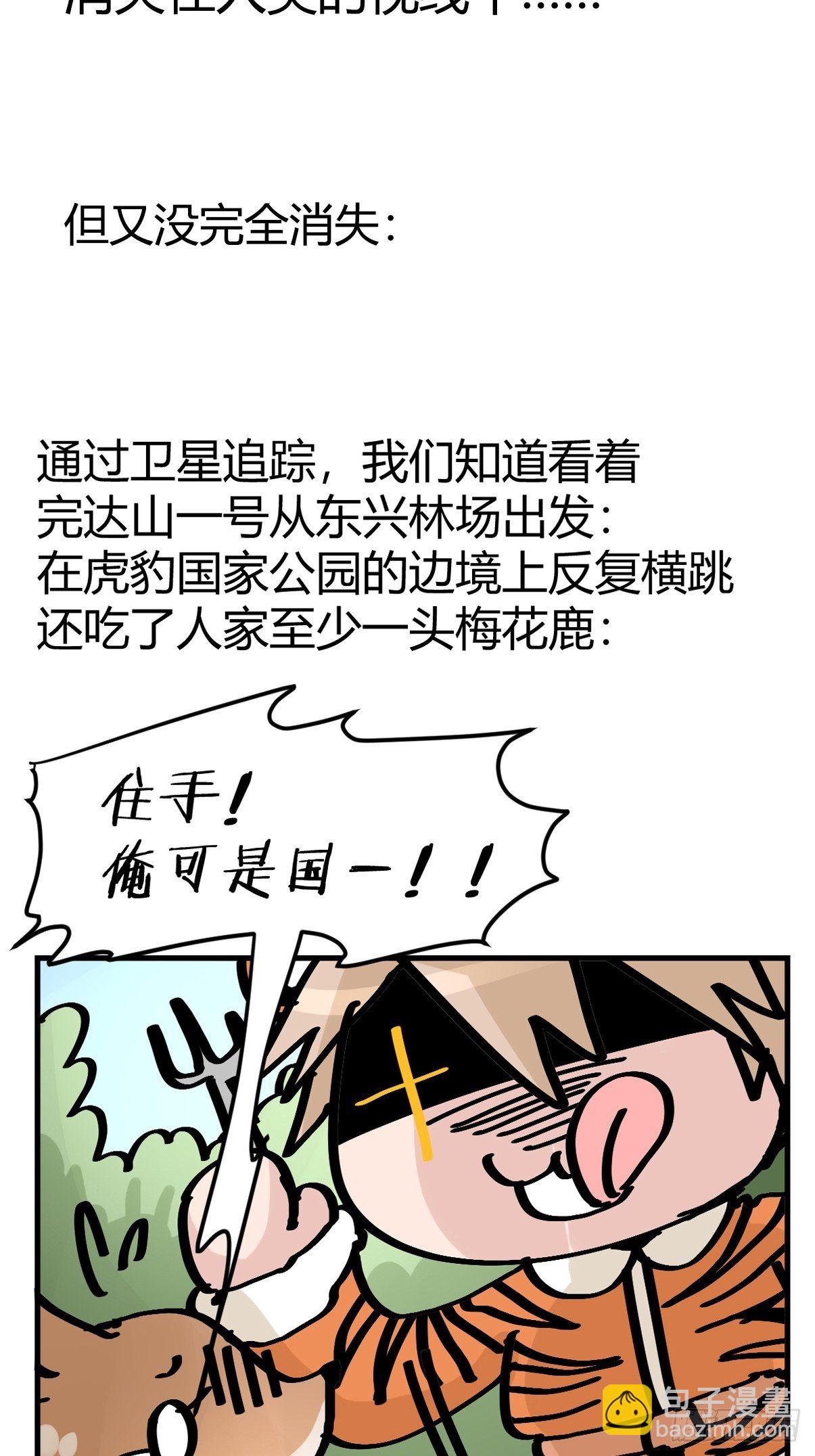 四海篇29：远虎治不了近鼠？-第271话