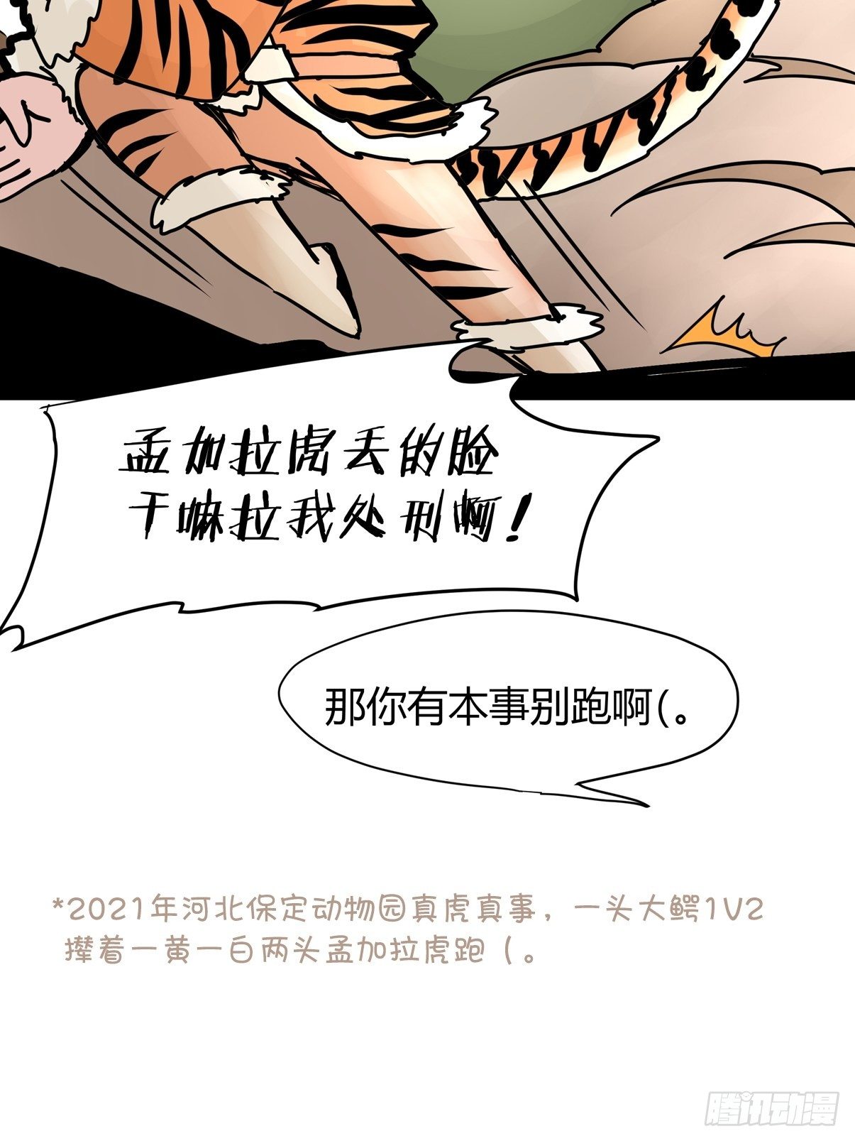 四海篇29：远虎治不了近鼠？-第271话