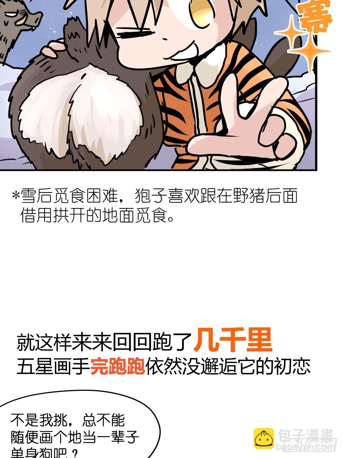 四海篇29：远虎治不了近鼠？-第271话