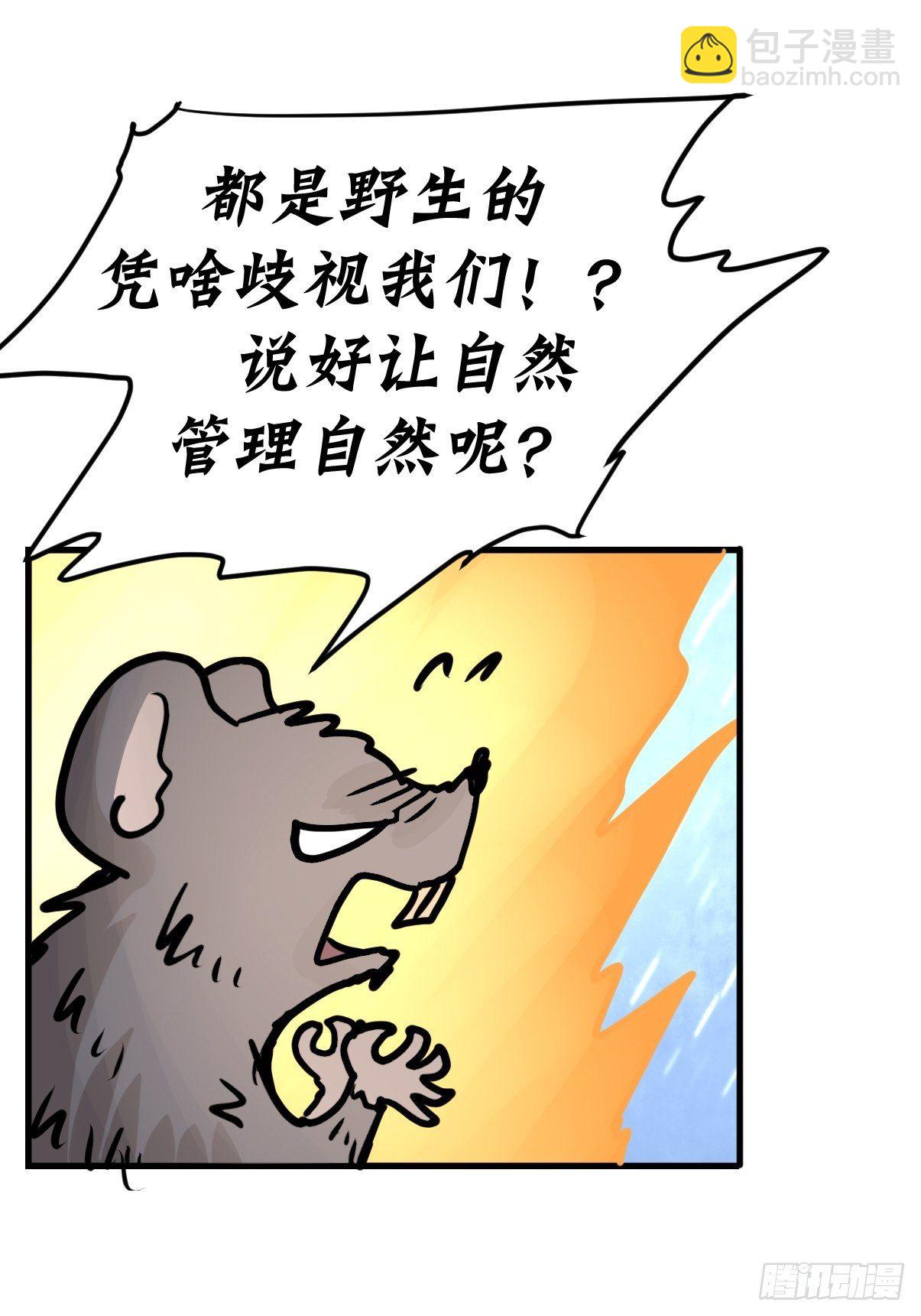 四海篇29：远虎治不了近鼠？-第271话