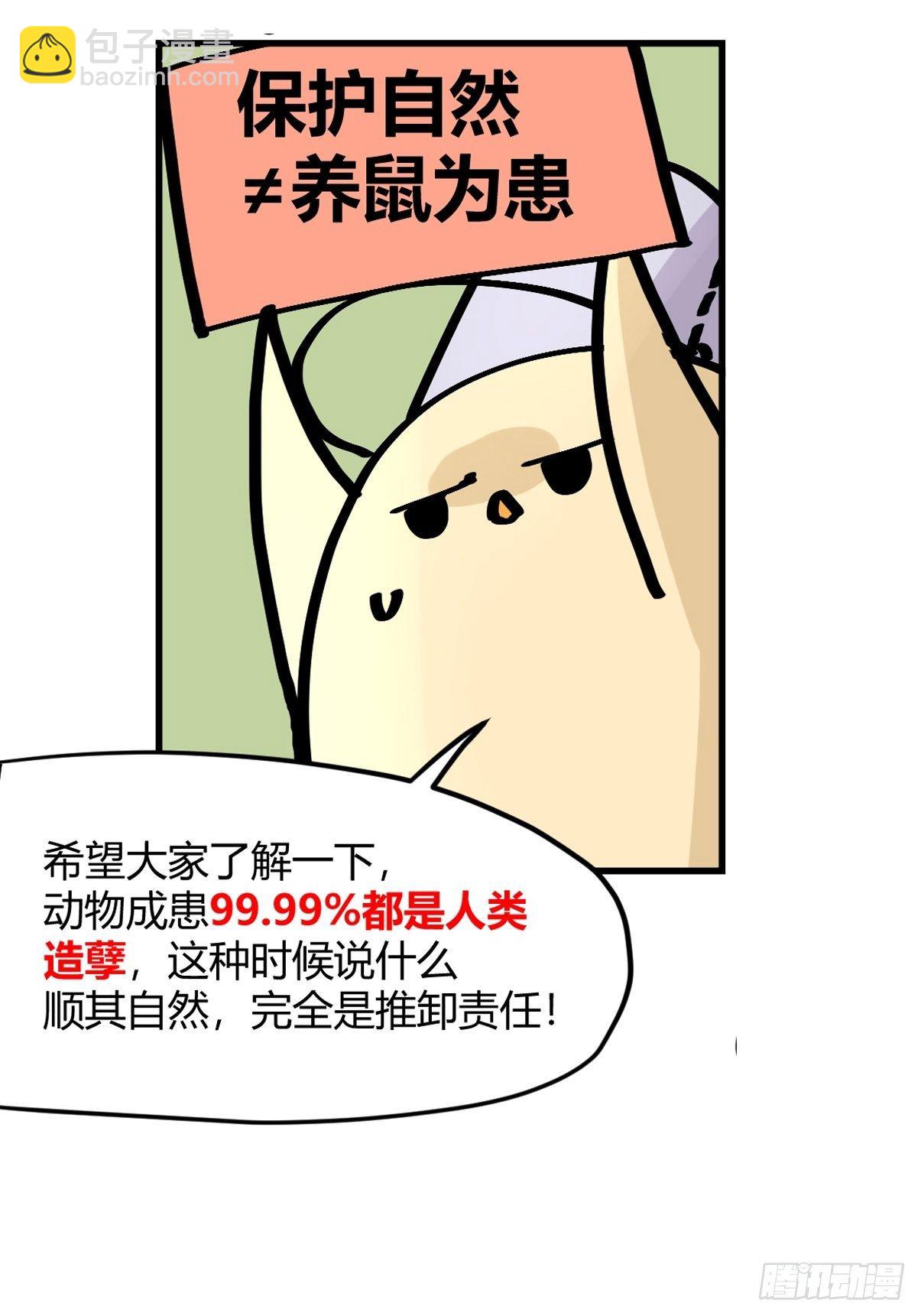 四海篇29：远虎治不了近鼠？-第271话