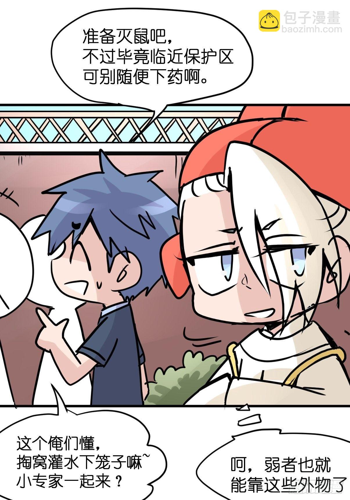 四海篇29：远虎治不了近鼠？-第271话