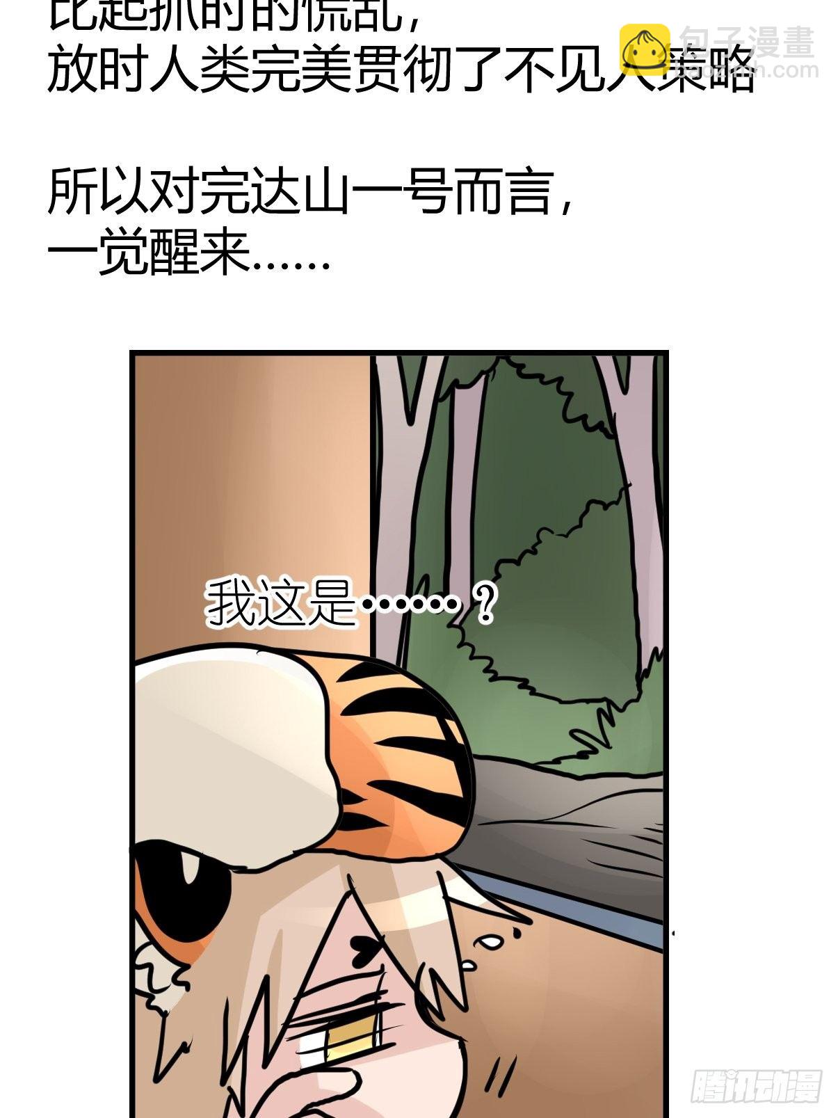 四海篇29：远虎治不了近鼠？-第271话