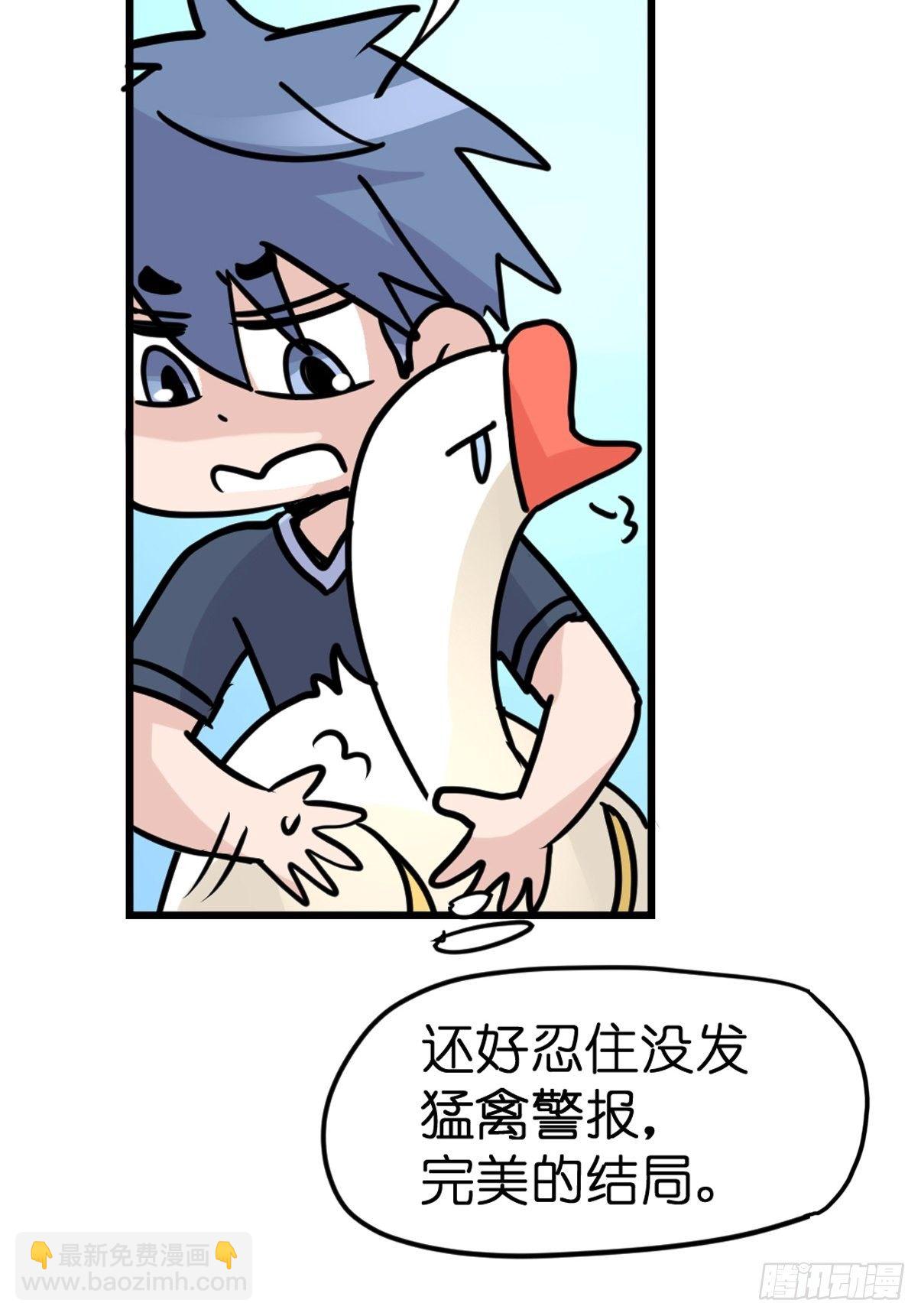 四海篇29：远虎治不了近鼠？-第271话