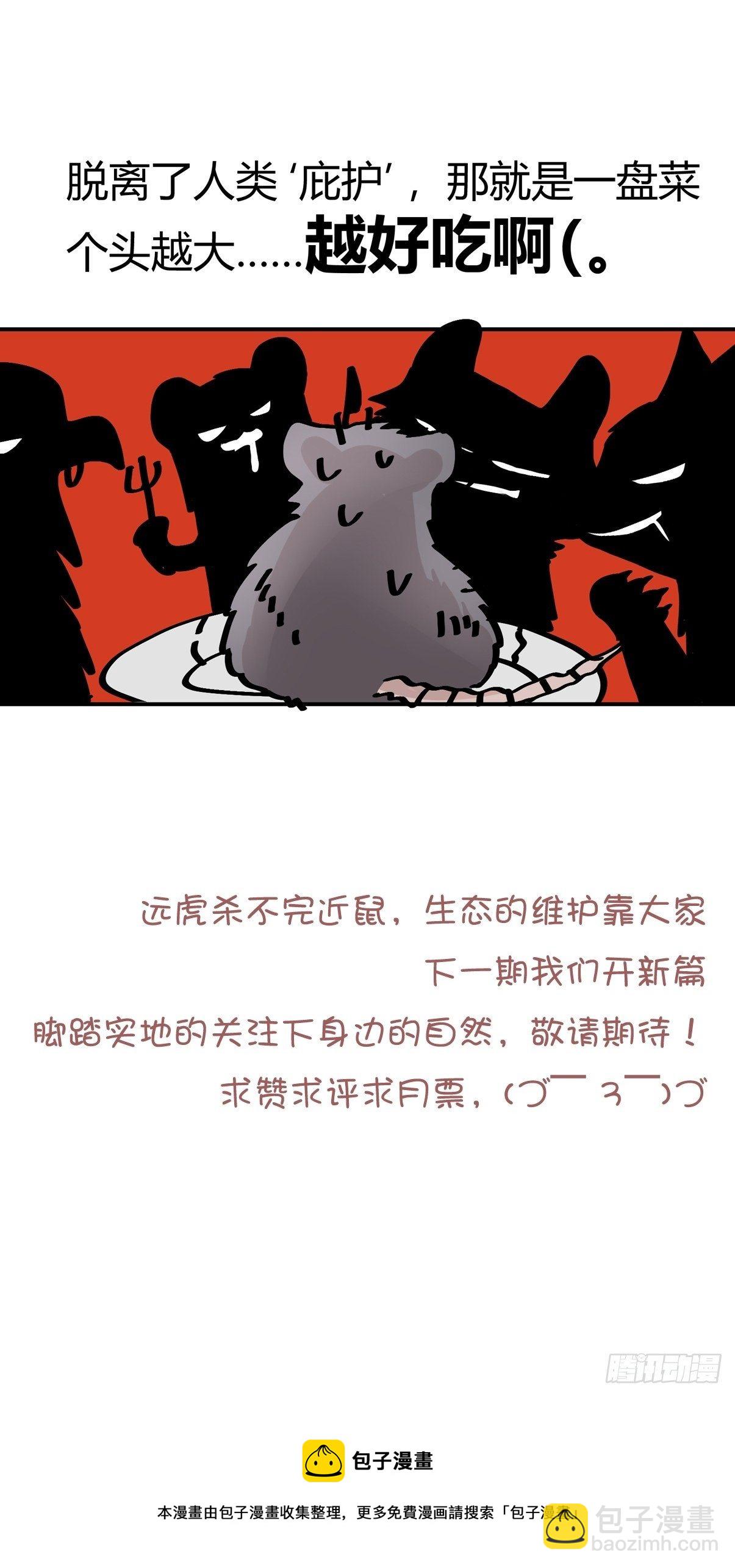 四海篇29：远虎治不了近鼠？-第271话
