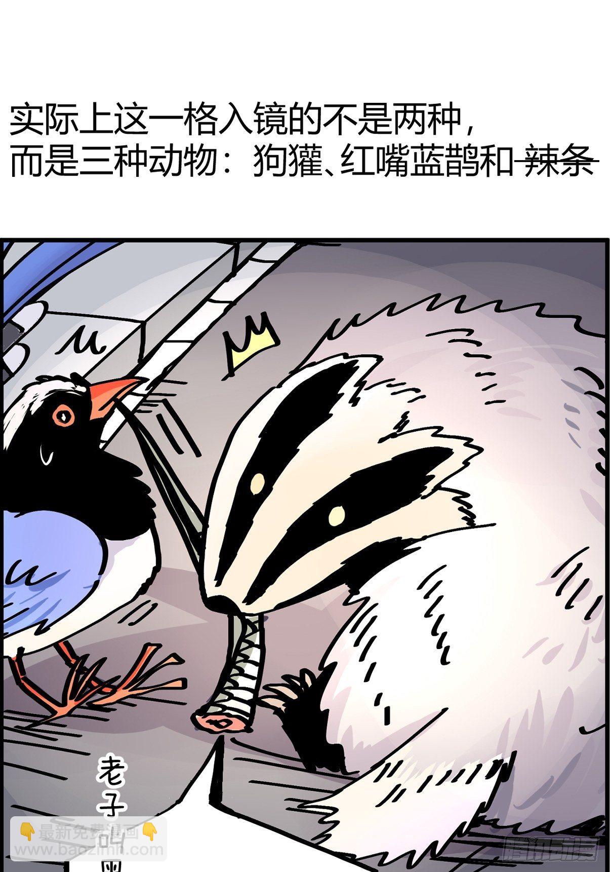 救助站篇02：死亡公路(1/2)-第273话
