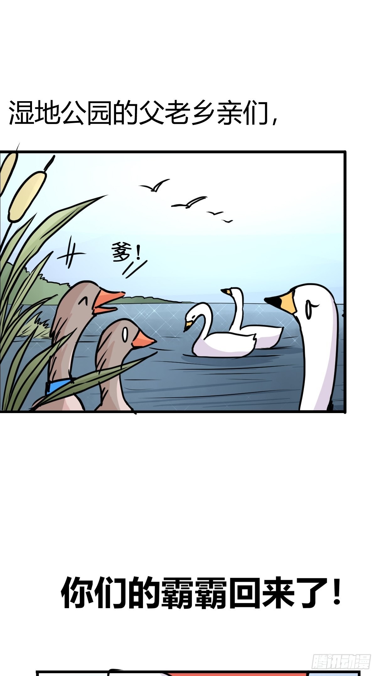 救助站08：各自的战场-第279话