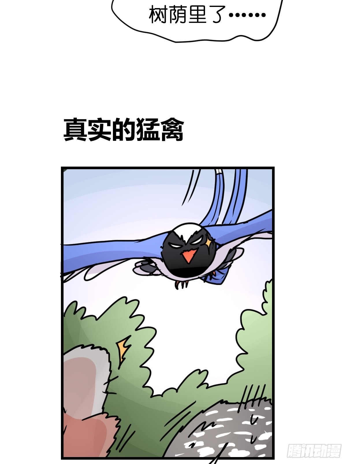 救助站篇10：有失必有得(1/2)-第281话