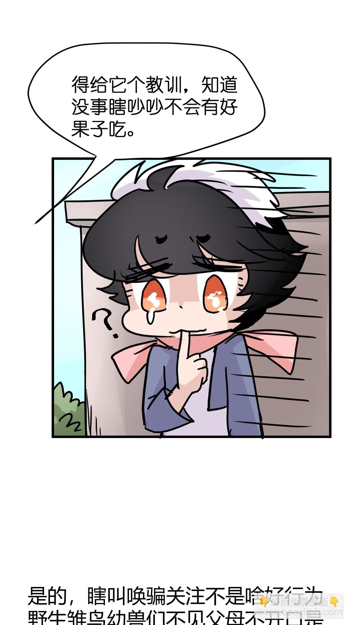 救助站16：作精的绝地反击-第287话