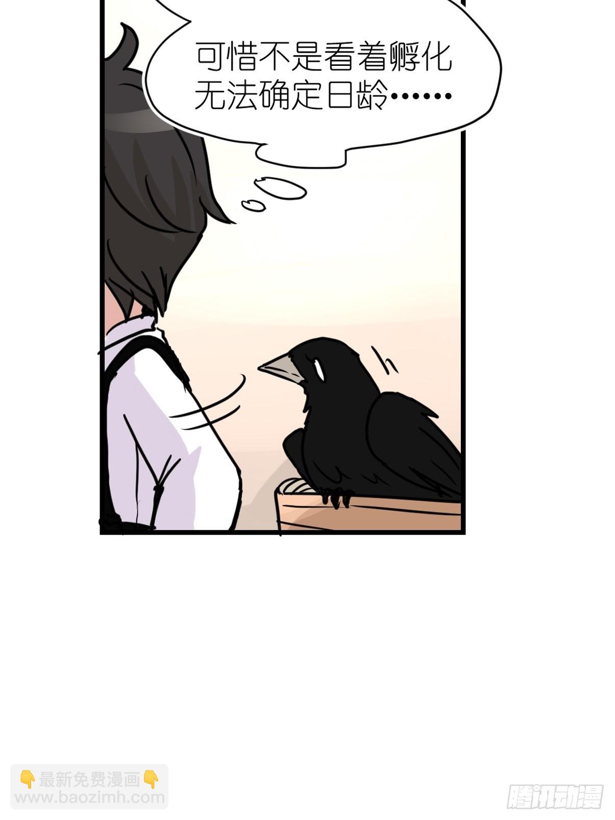 进基十日谈01：JOCK-上(1/2)-第293话