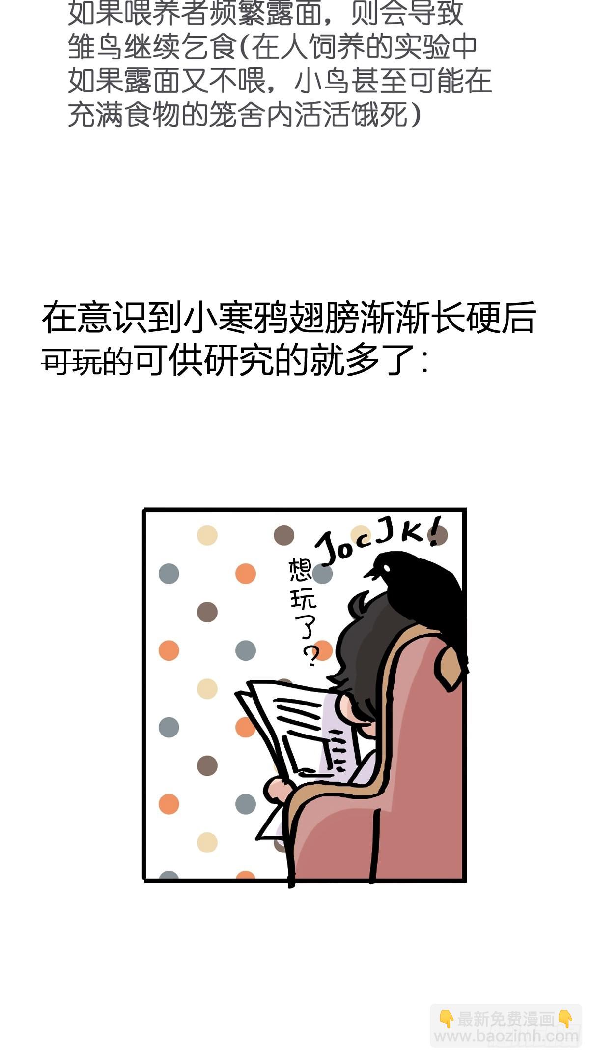 进基十日谈01：JOCK-上(1/2)-第293话