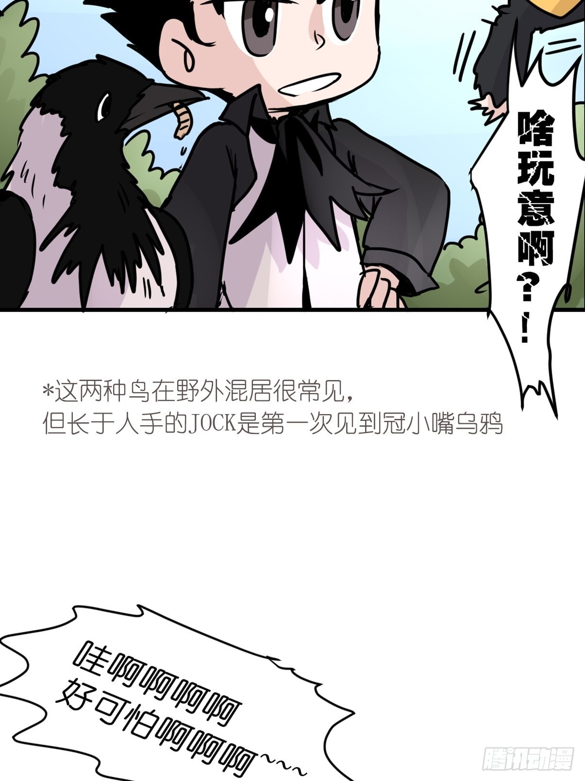 进基十日谈01：JOCK-上(1/2)-第293话