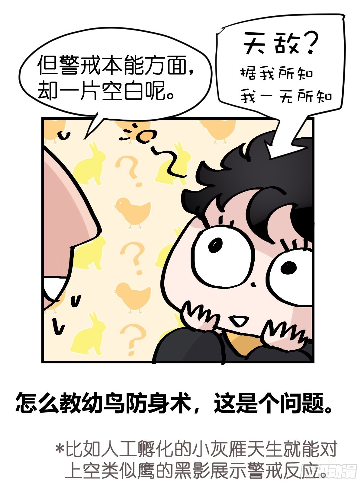 进基十日谈01：JOCK-上(1/2)-第293话