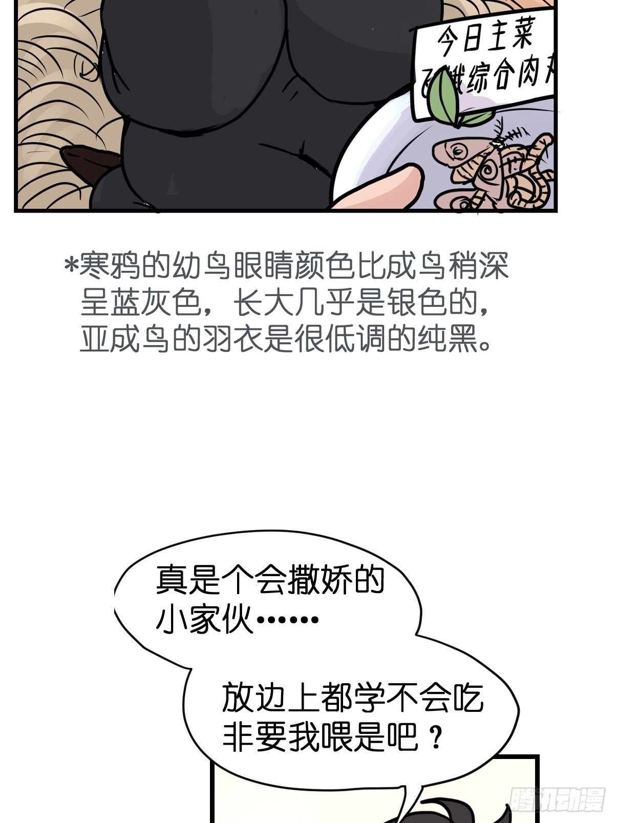进基十日谈01：JOCK-上(1/2)-第293话