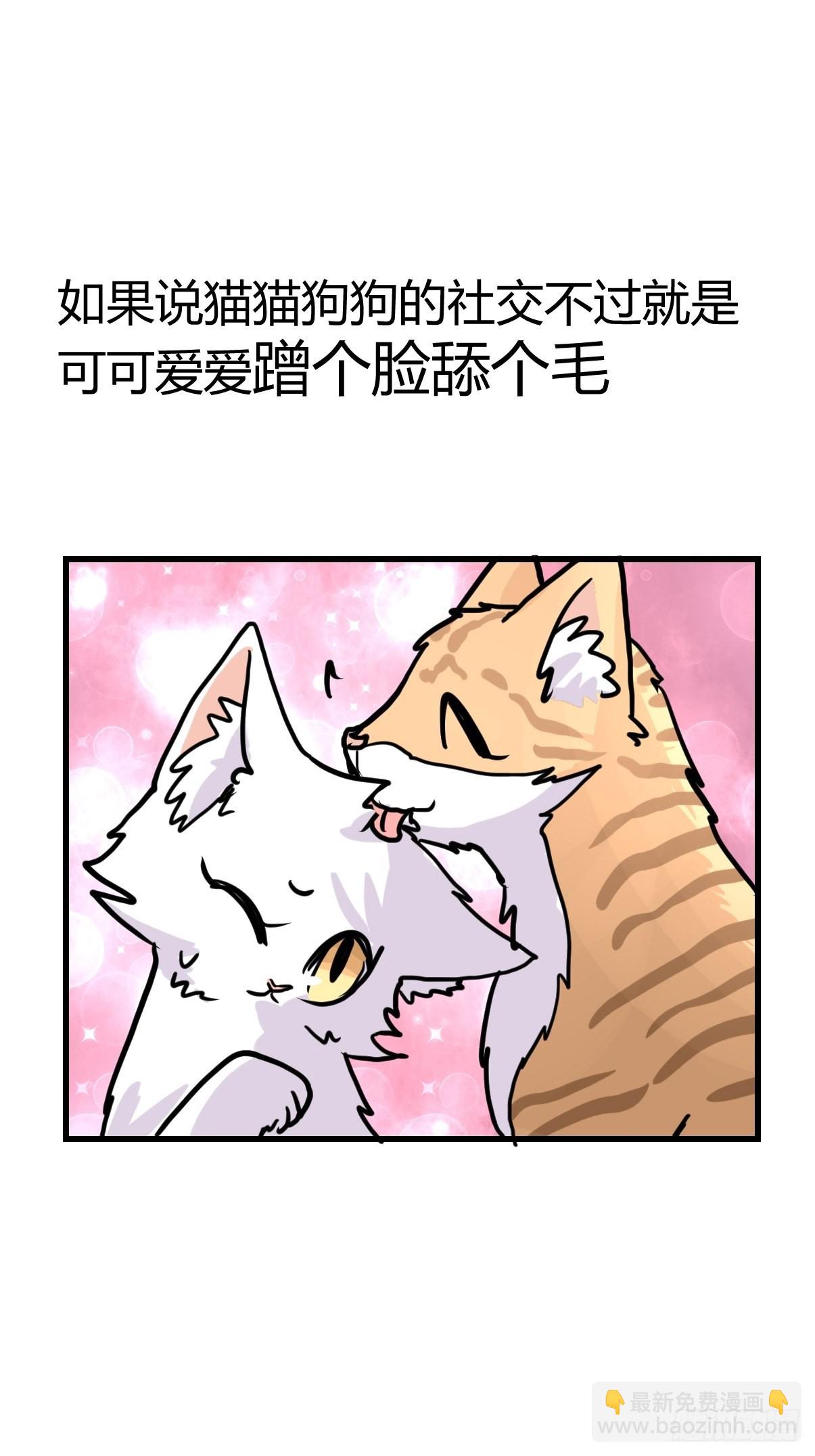 十日谈05：极端案例(1/2)-第297话