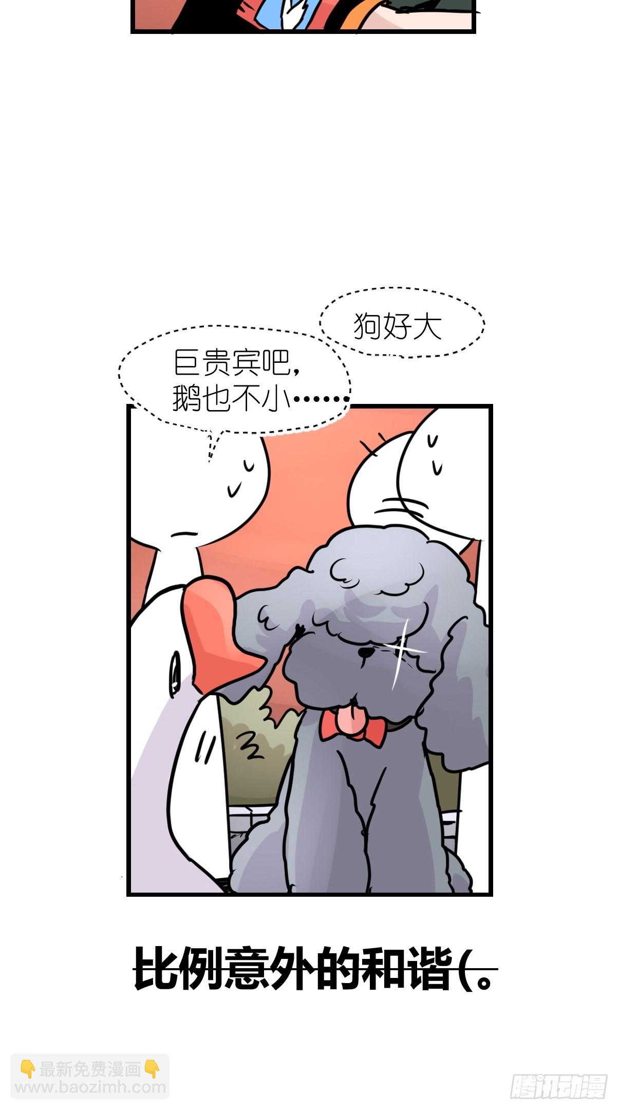 十日谈05：极端案例(1/2)-第297话