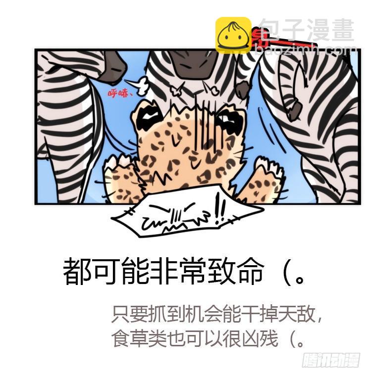 是这样的狮JI王？！-06-第31话