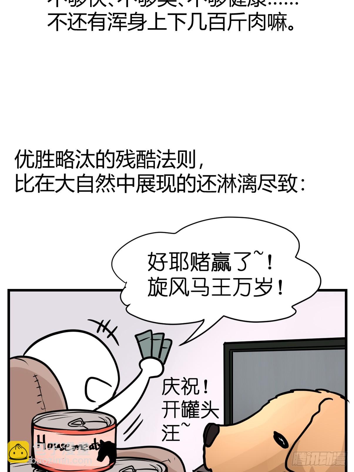 十日谈13：速度与激情&middot;5(1/2)-第305话