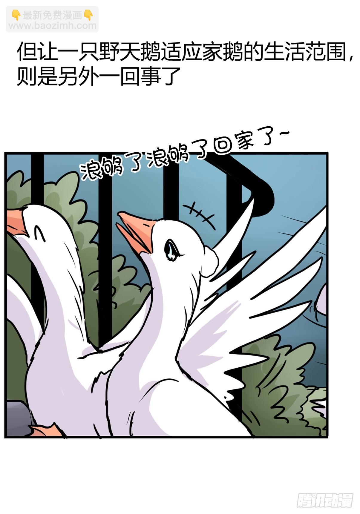 十日谈15：黑白罗曼史&middot;2(1/2)-第307话