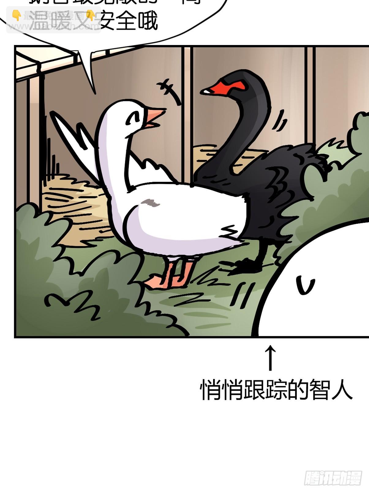 十日谈15：黑白罗曼史&middot;2(1/2)-第307话