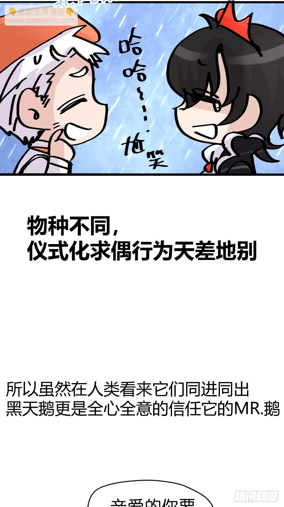 十日谈15：黑白罗曼史&middot;2(1/2)-第307话