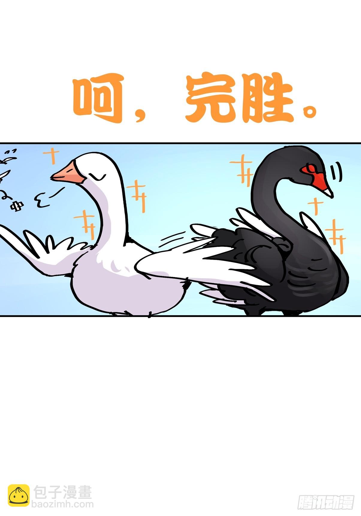 十日谈15：黑白罗曼史&middot;2(1/2)-第307话