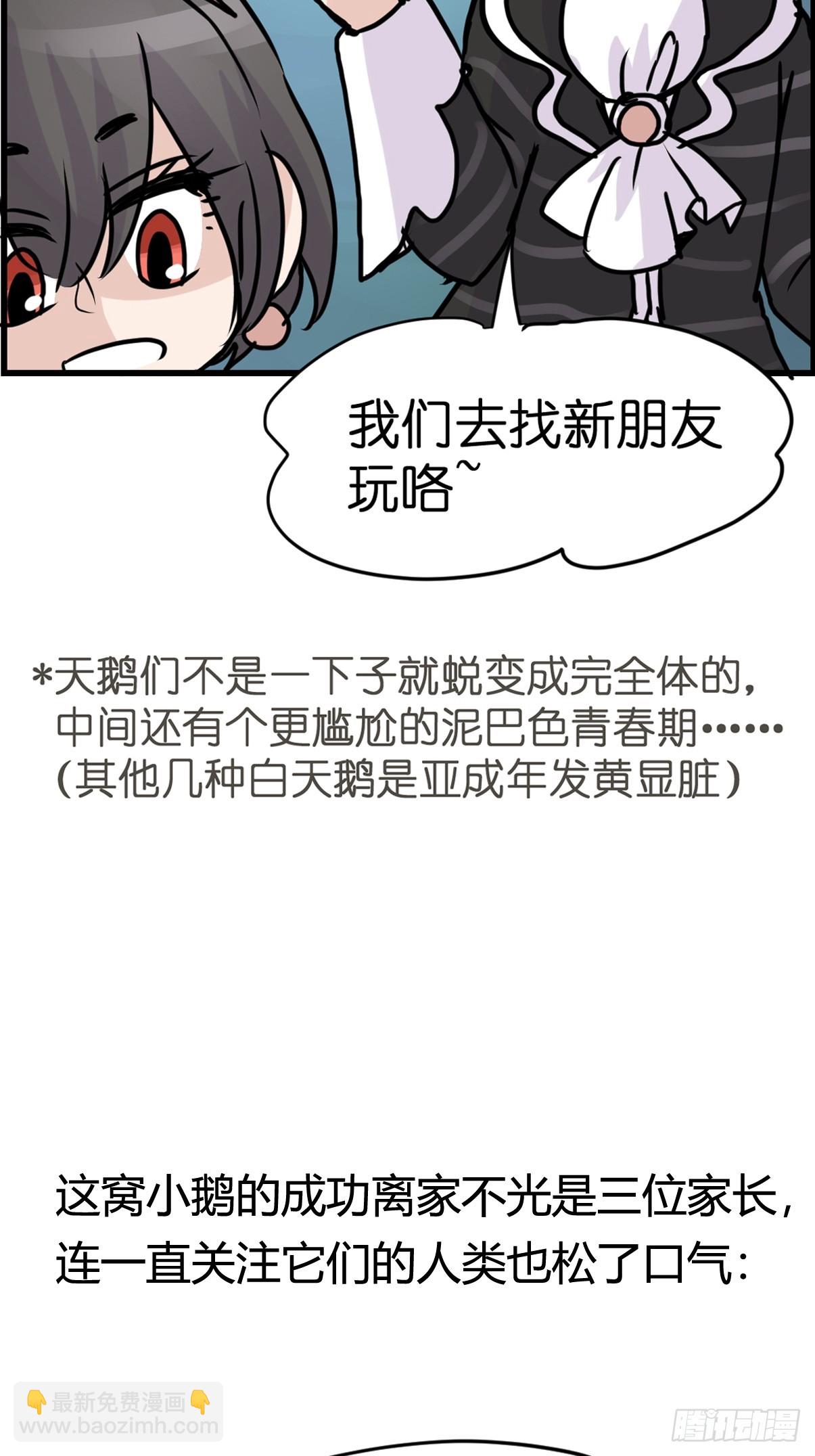 十日谈17：黑白罗曼史&middot;4(1/2)-第309话