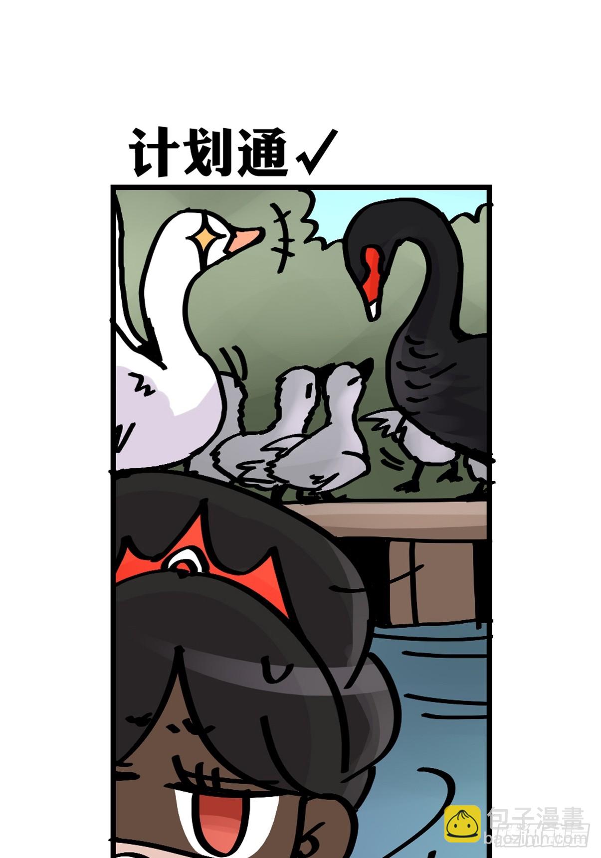 十日谈17：黑白罗曼史&middot;4(1/2)-第309话