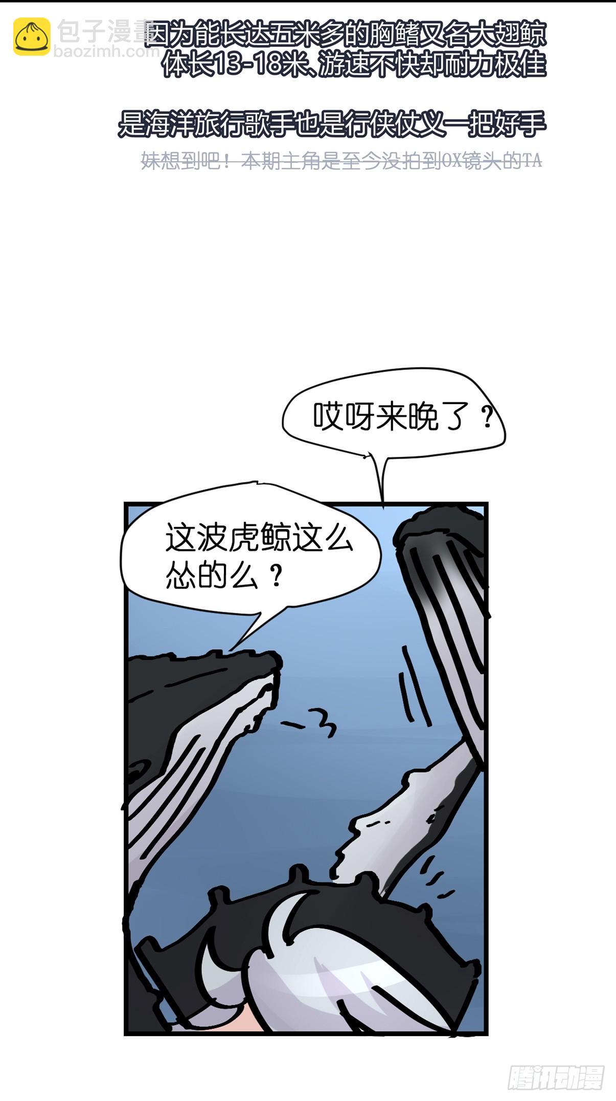 十日谈19：歌者/骑士&middot;1(1/2)-第311话