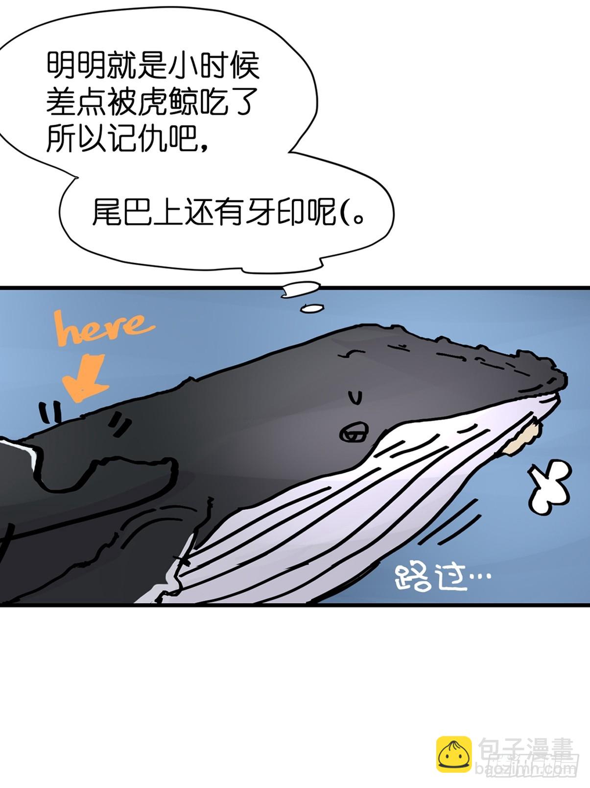 十日谈19：歌者/骑士&middot;1(1/2)-第311话
