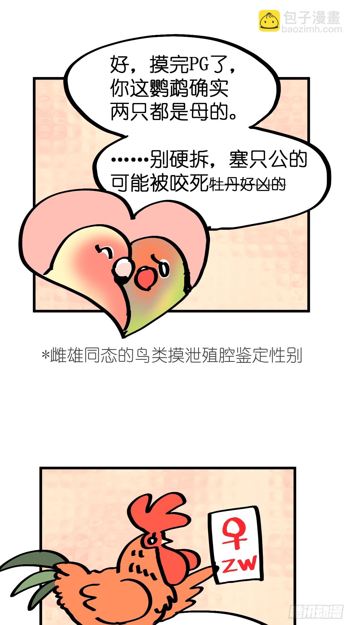 十日谈23：中场休息(1/2)-第315话