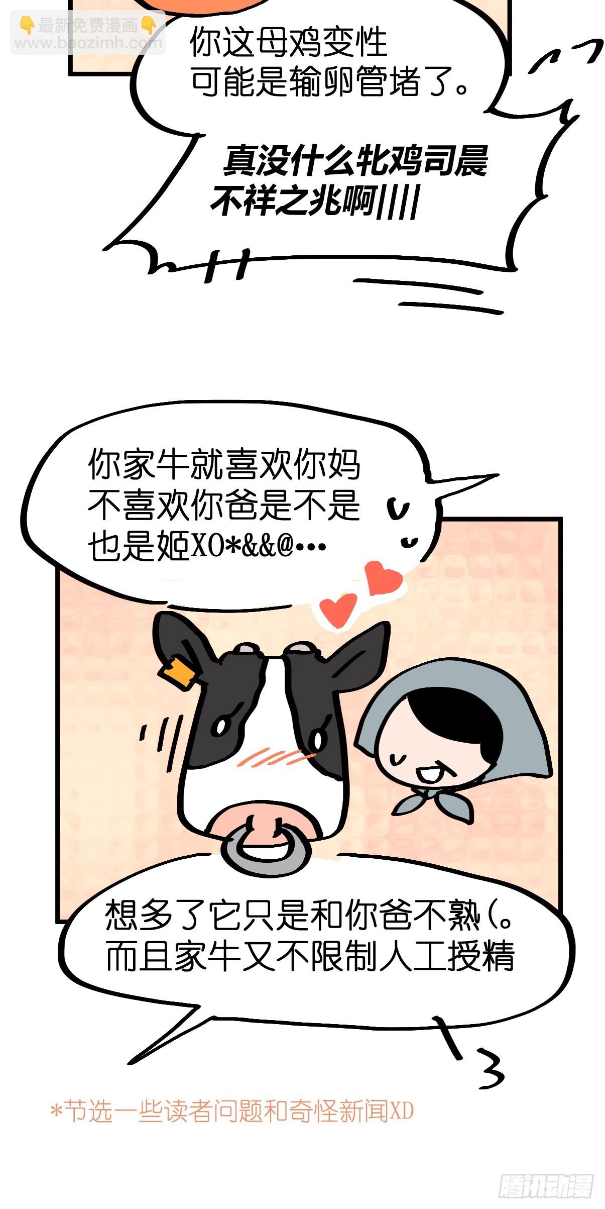 十日谈23：中场休息(1/2)-第315话