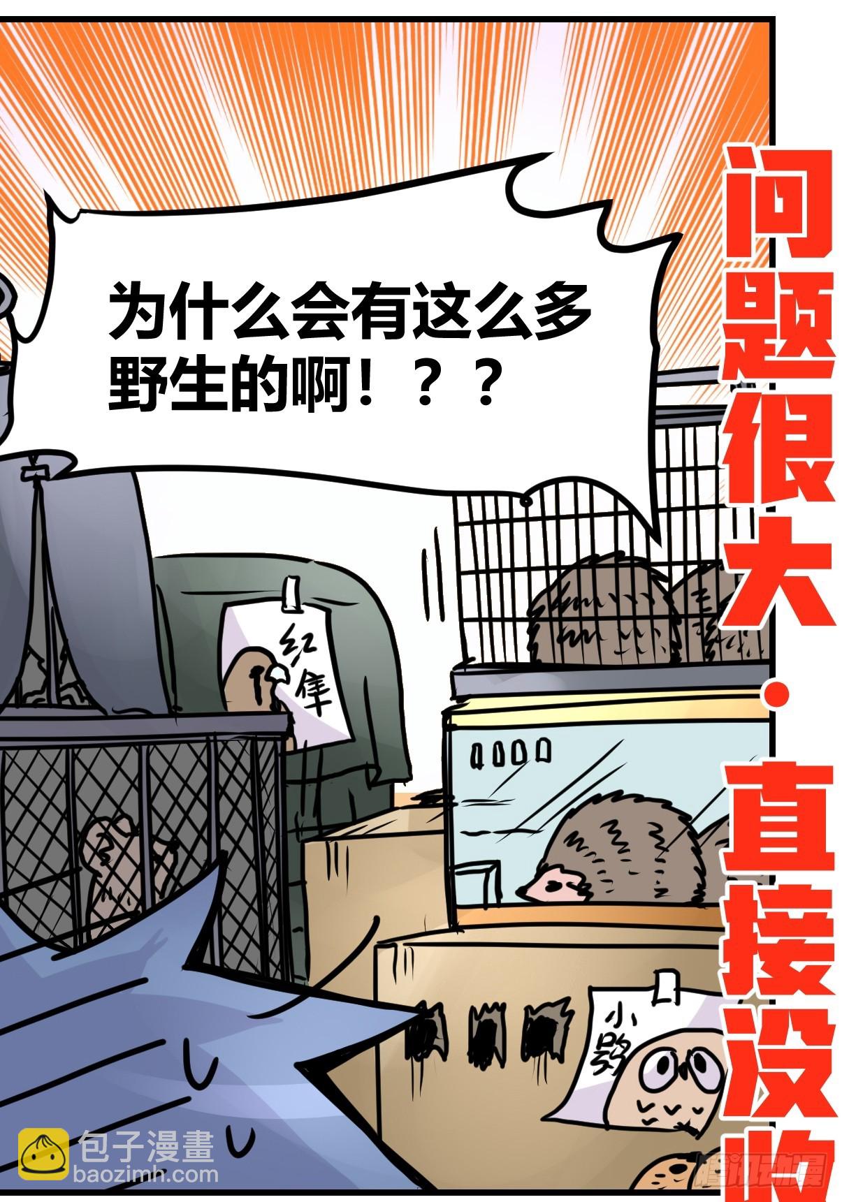 十日谈23：中场休息(1/2)-第315话