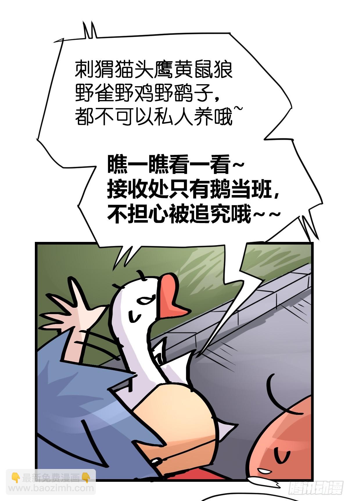 十日谈23：中场休息(1/2)-第315话