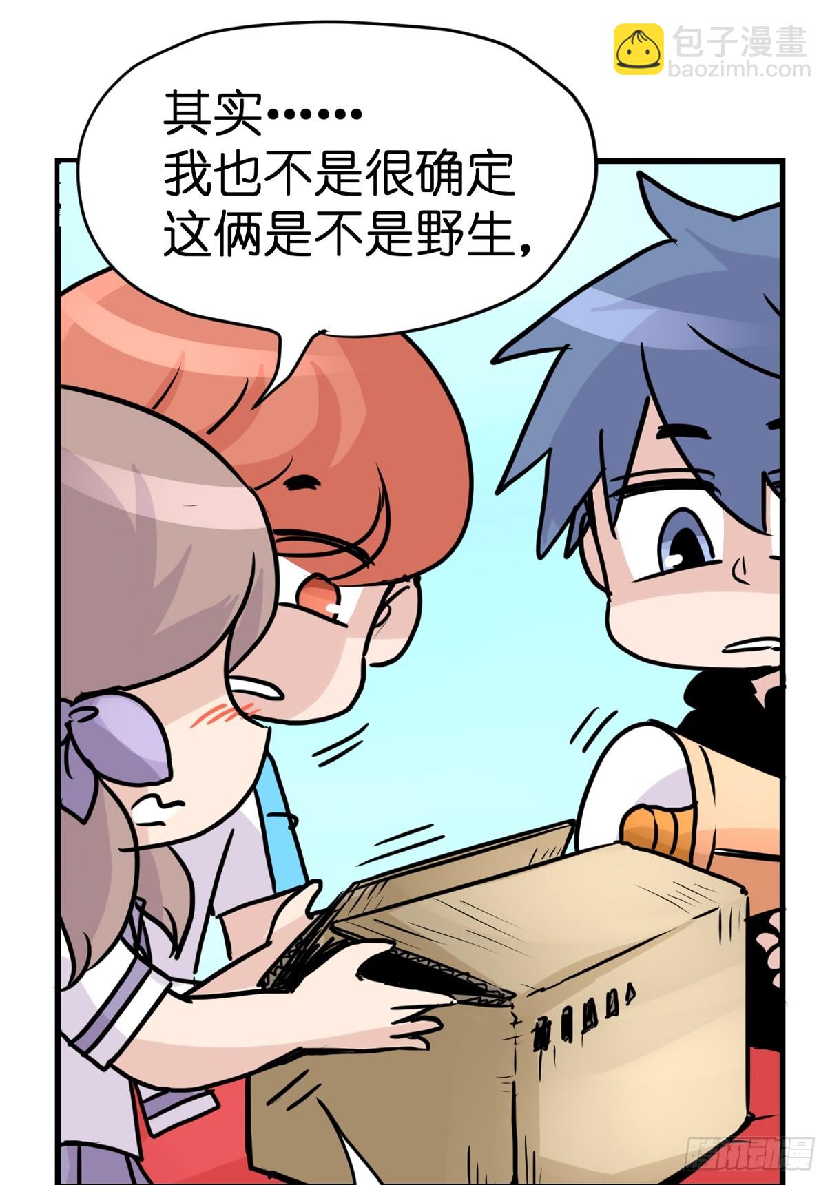 十日谈23：中场休息(1/2)-第315话