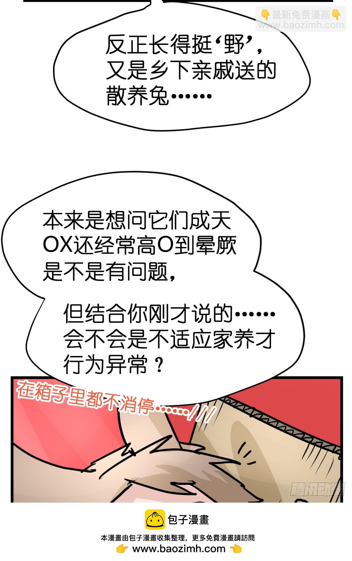 十日谈23：中场休息(1/2)-第315话
