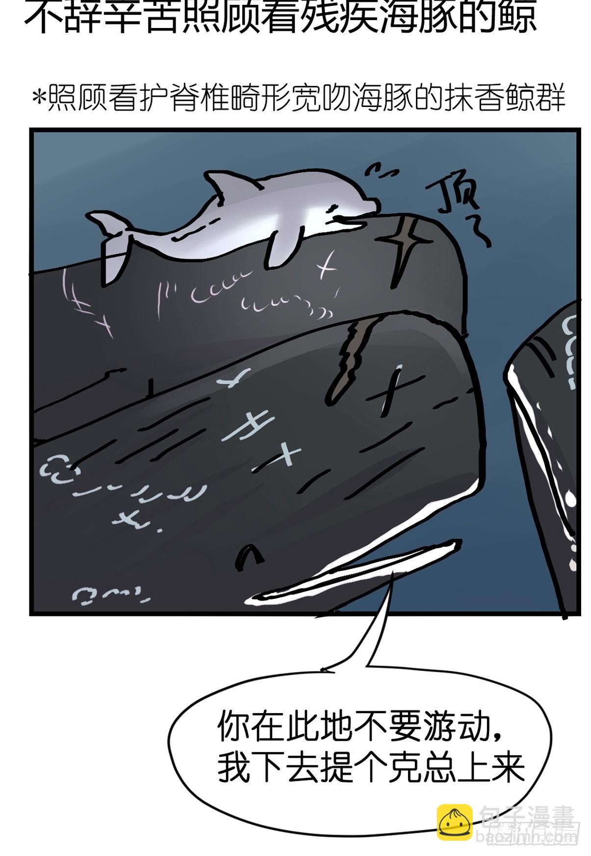 十日谈23：中场休息(1/2)-第315话