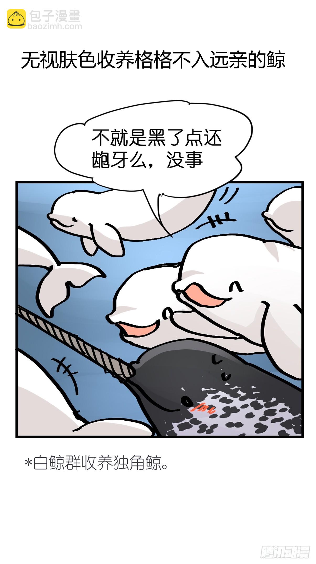 十日谈23：中场休息(1/2)-第315话